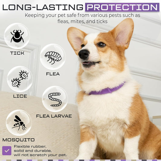 Flea and Tick Treatment for Dogs, And Cats, Adjustable Dog and Cat Flea Collar, Waterproof 8 Months Natural Flea Treatment Glow in Dark (Single DOG, Purple)