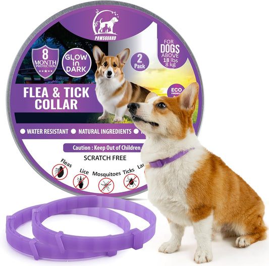 Flea and Tick Treatment for Dogs, And Cats, Flea Treatment Cat, Dog, Adjustable Dog and Cat Flea Collar, Waterproof 8 Months Natural Flea Treatment Glow in Dark (2 in 1 DOG, Purple)