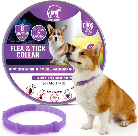 Flea and Tick Treatment for Dogs, And Cats, Adjustable Dog and Cat Flea Collar, Waterproof 8 Months Natural Flea Treatment Glow in Dark (Single DOG, Purple)