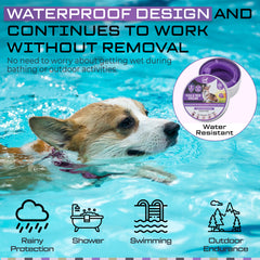 Flea and Tick Treatment for Dogs, And Cats, Flea Treatment Cat, Dog, Adjustable Dog and Cat Flea Collar, Waterproof 8 Months Natural Flea Treatment Glow in Dark (2 in 1 DOG, Purple)